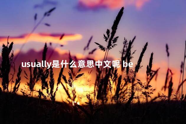 usually是什么意思中文呢 behind是什么意思中文